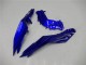 Carénages Moto Kawasaki Ninja 300 EX300R 2013-2017 - Bleu Noir Blanc Flamme