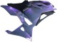 Carénages Moto Kawasaki Ninja 500 EX500R 2024-2025 - Caméléon Gris Dazz Violet Perle