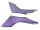 Carénages Moto Kawasaki EX300 2013-2024 - Caméléon Gris Dazz Violet Perle