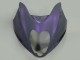 Carénages Moto Suzuki GSXR 1300 Hayabusa 1996-2007 - Caméléon Gris Dazz Violet Perle