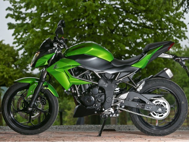 Carénages Moto Kawasaki Z250/Z300 2015-2016 - Vert Noir Mat