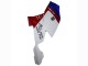 Carénages ABS BMW K1200S 2005-2010 - Blanc Rouge Bleu