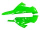 Carénages Moto Kawasaki EX300 2013-2024 - Vert Argent Noir