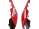 Carénages Moto Aprilia RS4 50 125 2012-2018 - Blanc Rouge Vert Noir Brillant
