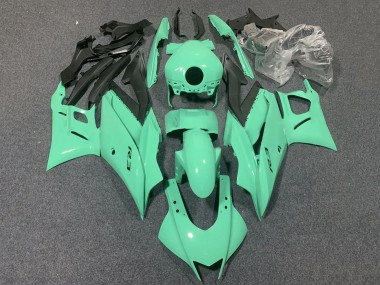 Carénages Moto Yamaha YZF R3/R25 2022-2024 - Vert Clair